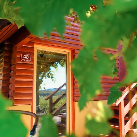 Vineyard Escape Suklje Hébergement de vacances
