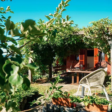 Vineyard Escape Suklje Holiday home Metlika