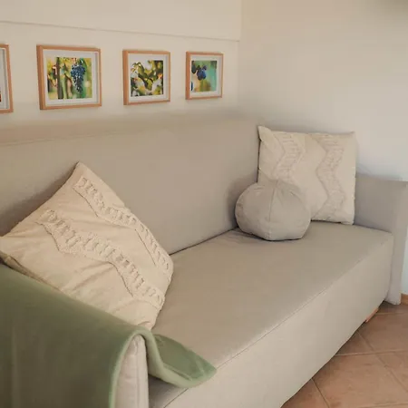 Vineyard Escape Suklje Holiday home *