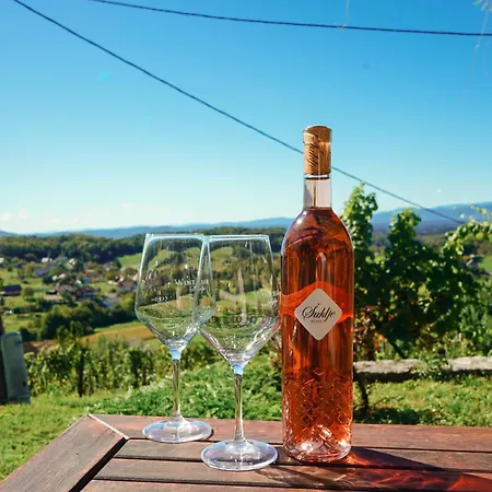 Vineyard Escape Suklje Hébergement de vacances Metlika